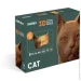  Cartonic Cat (CARTCAT)