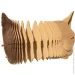  Cartonic Cat (CARTCAT)