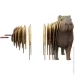  Cartonic Capybara (CARTCAPY)