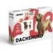  Cartonic   3D Puzzle DACHSHUND CARTDACH