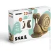  Cartonic   3D Puzzle SNAIL CARTSNAIL