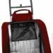 - Casa Si Buddy Red (CS93077Y06R)