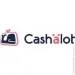    CASHALOT(.). ³ 10  (00000419003)