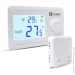 Castle     AC8038G-RF   (Dry Contact) (8884)
