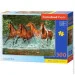  Castorland ,     (-030361)