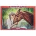 Пазл Castorland Дівчина та кінь (B-52516) Пазл Castorland Дівчина та кінь (B-52516)