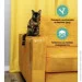  Cat Shield     ,    4  3021,  (1831295477)