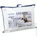 Cataleya  Flower 50x70  