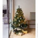 CBL       6,5 , 12  Forest