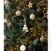 CBL       6,5 , 12  Merry Berry