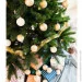 CBL       6,5 , 12  Merry Berry