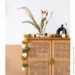 CBL      Jungle 35   USB, 4 