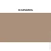 Ceresit    CE 40 AQUASTATIC 46 1  