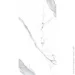 Cerossa Ceramica  PRAGA polished 60120 