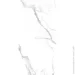 Cerossa Ceramica  PRAGA polished 60120 