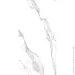 Cerossa Ceramica  PRAGA polished 60120 