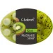     Chaban 100  (00077)