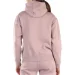 Champion  115480.eby ps162 .S 