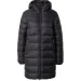 Champion   116869-KK001 .M 
