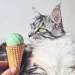 Cheerble    Ice Cream Ball C0419-C ()