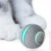 Cheerble    Wickedball Mini C0419 Grey