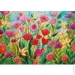  Cherry Pazzi    (30547)