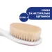  Chicco :  +   () (0-12 ) (06569.10)