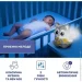 - Chicco     10065.00
