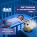 - Chicco     10065.00