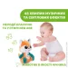   Chicco   " " (11354.00)