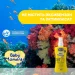  Chicco SPF 50 150  (11260.00)