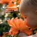 Chicco    Baby Moments, 100  (10599.00)