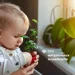  Chicco    " "  Baby Moments, 500  (10583.00)