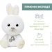 ͳ Chicco   " Dreamlight" (11456.00)