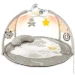   Chicco     "Enjoy Colours Gym" () (09866.00)