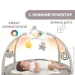   Chicco     "Enjoy Colours Gym" () (09866.00)