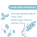  Chicco    "Natural Sensation", 100  (11522.00)