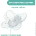 Chicco   Physio Comfort  