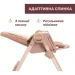    Chicco Polly Armonia 42 (87140.42)