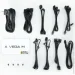   Chieftec VEGA M 750W (PPG-750-C)