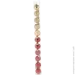 Chomik    . 11, 3 ,   , ,  (5900779882188)