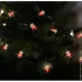 Chomik   LED  20L  . (5900779842212)