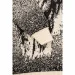 Cilivili     434 116   (2000990167545W)