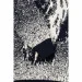 Cilivili     434 116   (2000990167590W)
