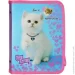 Class    Cute Kitten 5627-21C