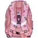   Class   Kitten 2520C 13010127