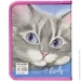    Class    Lovely Cat 13070682