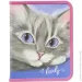    Class    Lovely Cat 13070682
