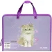 - Class    Princess Cat 13070687