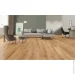Classen  Casa Normann 4V   33/5 8  (54418)